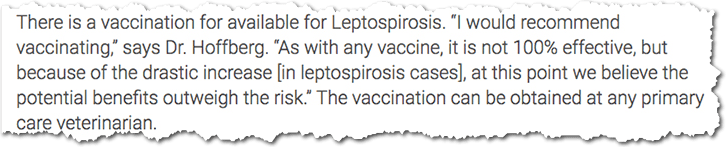 Recommendation of vaccinating against lepto in dogs