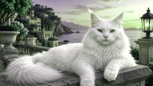 Best Cat Names for 2026: Cute, Unique, Funny, Male & Female Ideas