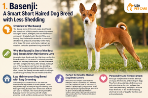 Short haired dog breeds including Boxer, Basenji, Dalmatian, Boston Terrier, and Italian Greyhound sitting together outdoors with clean low-shedding coats.