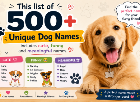 unique dog names
