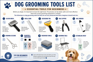 how to groom a dog at home for beginners, dog grooming steps,