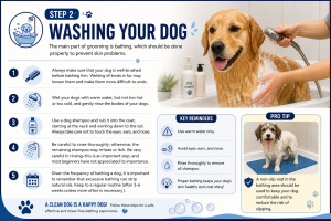 how to groom a dog at home for beginners, dog grooming tools list