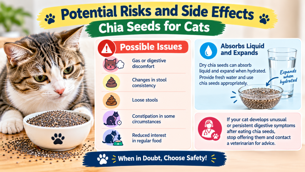 Infographic showing potential risks and side effects of chia seeds for cats, including digestive discomfort, stool changes, constipation, and the importance of hydration when offering chia seeds.