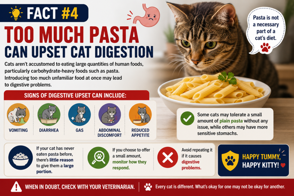 Cat beside a bowl of pasta with an infographic showing vomiting, diarrhea, gas, abdominal discomfort, and reduced appetite as possible signs of digestive upset.